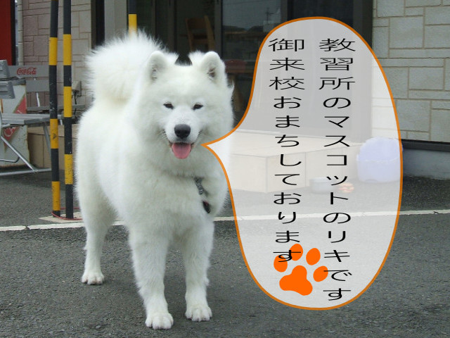 来校おまちしております